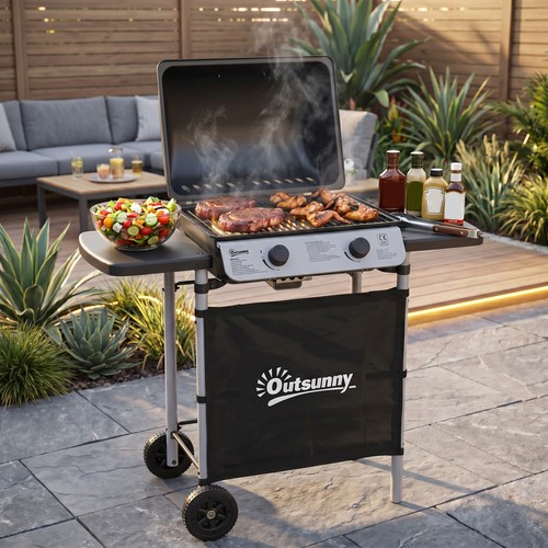 Barbecue gas propano grill - grill, 2