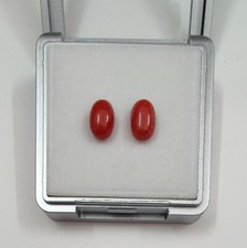 Autentico corallo naturale