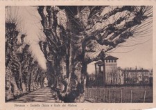 Cuneo - Cherasco - Castello Chicco e Viale dei Platani - fg vg 1943