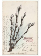 1904 antica cartolina Primi