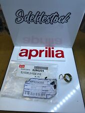 1 molla posteriore leva