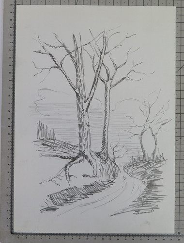 Disegno con studio - disegno,
