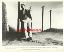 VINTAGE Brad Davis SEXY BELLO