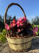 CESTINO in vimini naturale