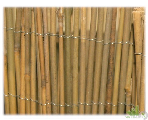 Arella riparella naturale - arella,