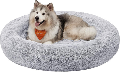 Cuccia cane interno - cuccia,