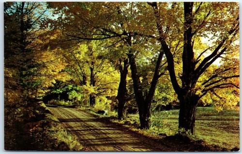 Cartolina una strada di - -,