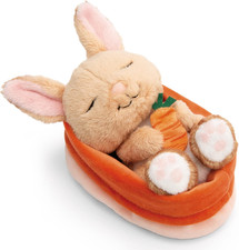 Coniglio Di Peluche Con Carota