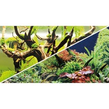 Hobby Fotoritratto Green