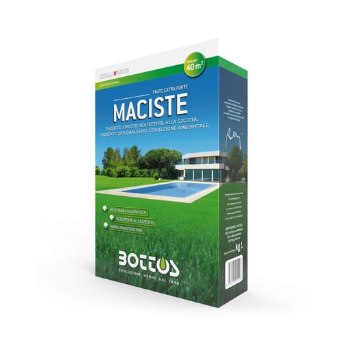 Maciste sementi per tappeto - maciste,