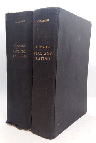 Dizionario della lingua