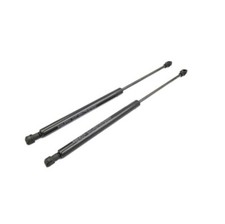 Molle gas portellone - gas, cofano