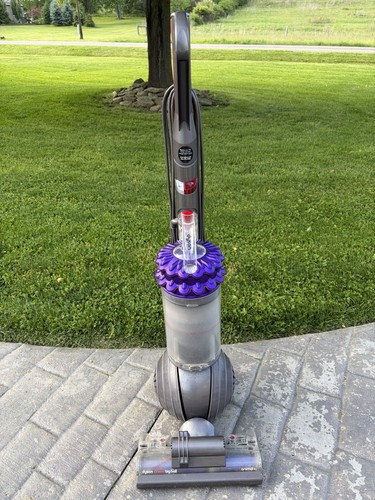 Dyson cinetic big - big, animal