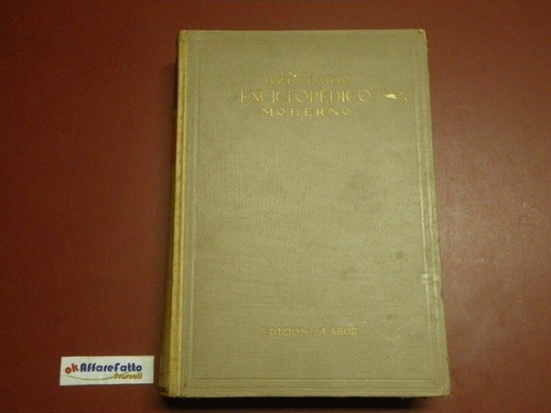 490 libro dizionario - 9.490,