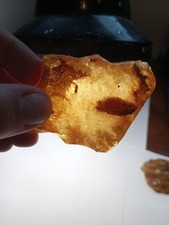 Ambra grezza originale del Mar Baltico bel colore pregiato  pezzo di 125 carati.