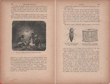 Capanna di negri rischiarata