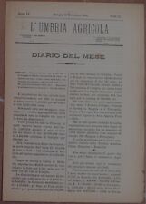 L'UMBRIA AGRICOLA 15 NOVEMBRE 1886 VINO OLIO WINE OIL BURRO BUTTER BEURRE OLIVO