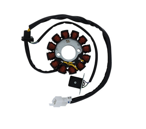 Statore magnete poli - 12,