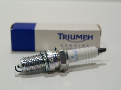 Candela accensione triumph - candela, di