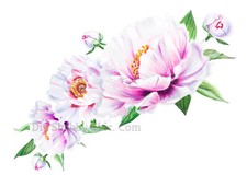 Adesivo legno parete mobili acquascivolo trasferimento immagine vintage fiori disegnati a mano