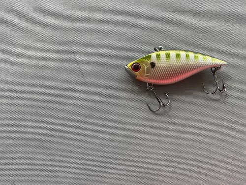 Daiwa pro vibration - pro,