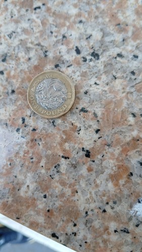 Moneta rara one pound sterlina - rara,