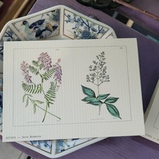 K59 ) Stampa Arte SERIE