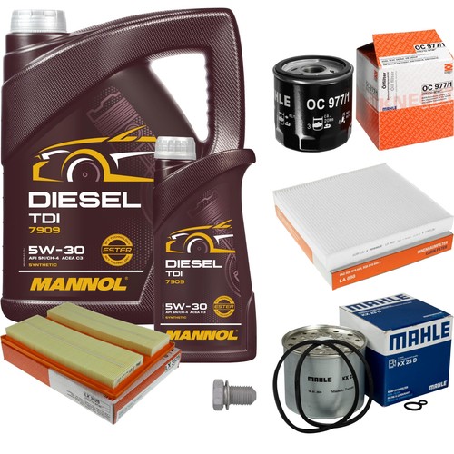 Pacchetto ispezione mahle l - pacchetto,