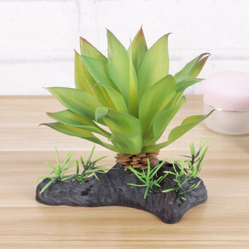 Simulated terrarium decor - ,