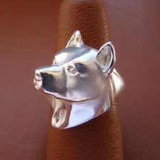 Anello studio testa AmStaff