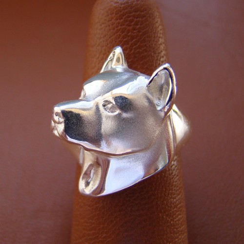 Anello studio testa amstaff - studio,
