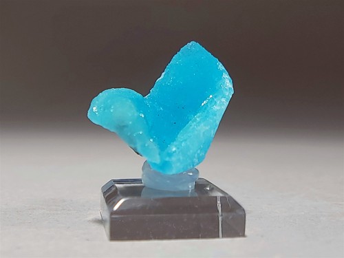 Crazy natural elettrico - crazy,