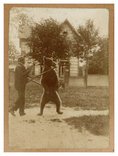 Bulgarie, Gitan avec son ours