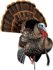 Hdr strutter turkey decoy - turkey,