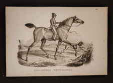 CAVALLO DA CORSA INGLESE RAZZA ANTICA STAMPA BRODTMANN