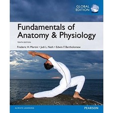 Fundamentals of Anatomy &