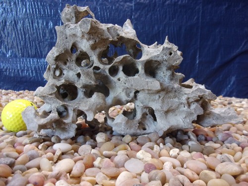 Texas holey rock - holey,