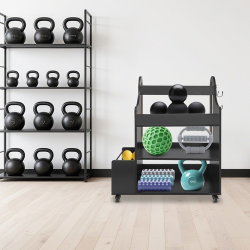 Home gym storage - storage, rack,