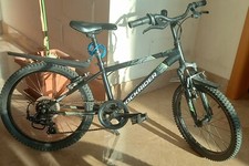 bicicletta 20 pollici bambino