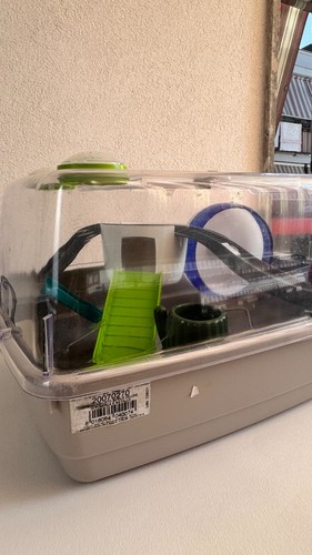 Gabbia deluxe per - a, 2