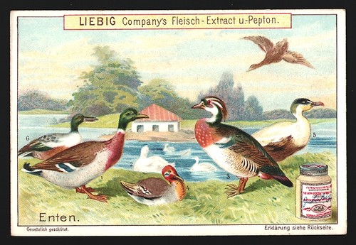 Figurine liebig serie n - liebig,,