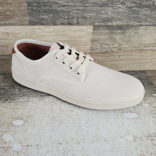 Scarpe uomo steve madden - scarpe,