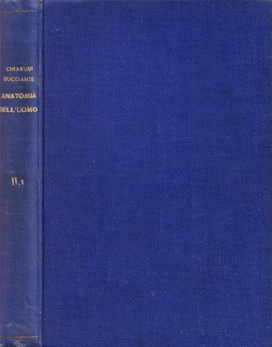 Istituzioni anatomia - istituzioni,