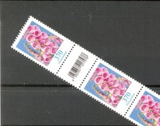 FINGERHUT fiori fascia n