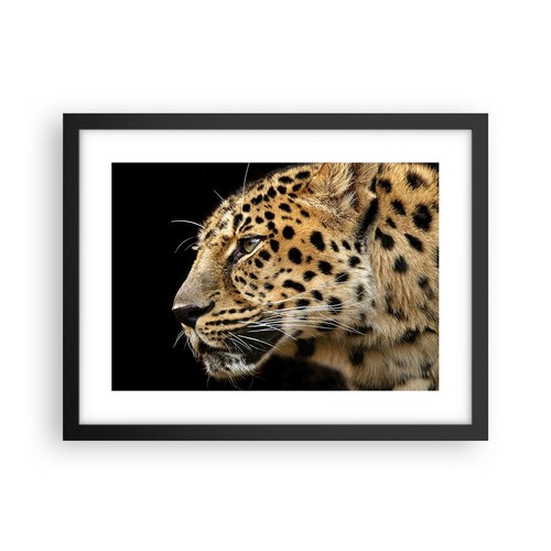Poster 40x30cm animali - 40x30cm,