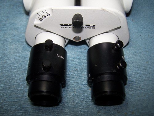 Wild leica 180 binocolo - wild/leica,