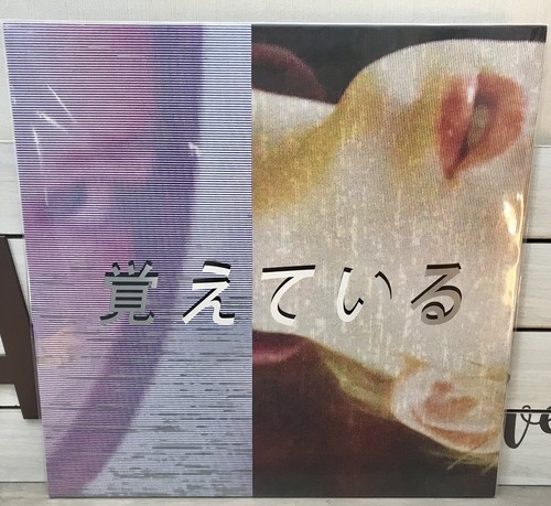 Limited edition vincent - edition,