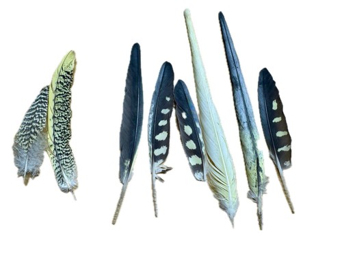 Penne selezionate naturali - selezionate,