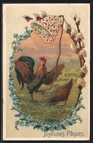 Cartolina pasqua gallo - cartolina, pasqua,