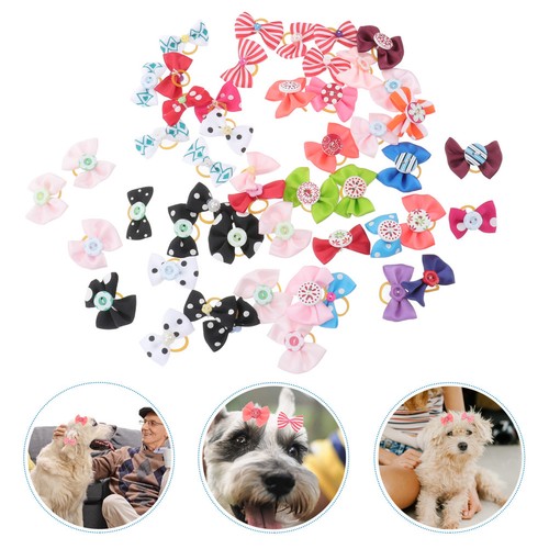 Pcs accessori cane piccola - pcs,